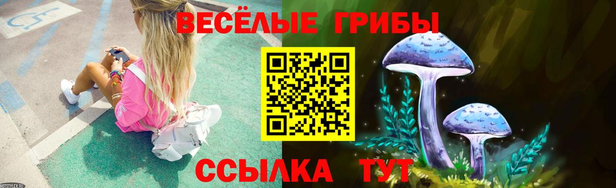 Псилоцибиновые грибы мицелий  Вход с VPN  Кировск 